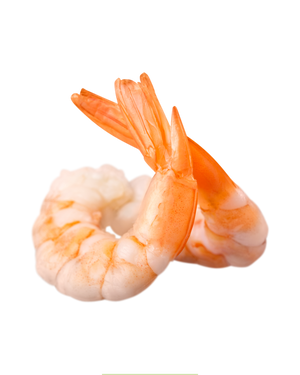 Chondroïtine